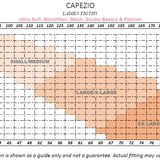 CAPEZIO 9 PROFESSIONAL MESH TRANSITION TIGHT WITH SEAMS