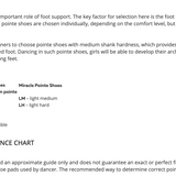 NIKOLAY 0509N "3007" CLASSIC HARD SHANK POINTE SHOE