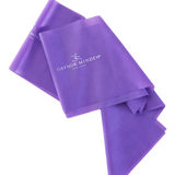 RESISTANCE BAND-GAYNOR MINDEN