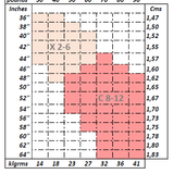 CAPEZIO 1917X GIRLS FOOTLESS W/ SELF KNIT WAIST BAND TIGHT